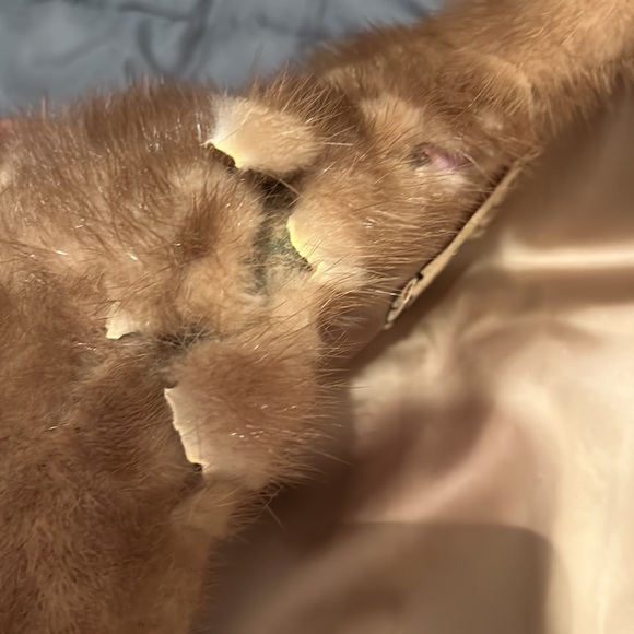 Vintage 1950s Mink Fur Stole from Macy’s Little Shop - Picture 5 of 8